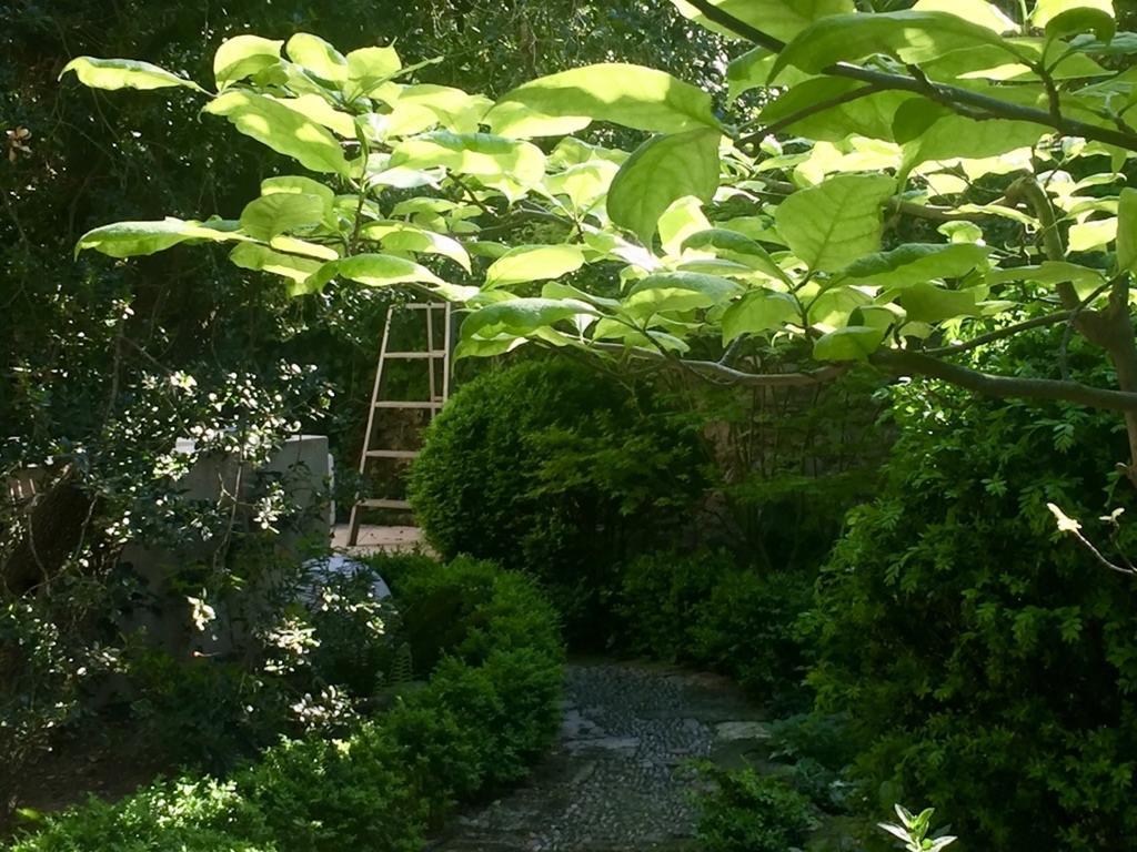 Les Jardins De Baracane Aviñón Exterior foto