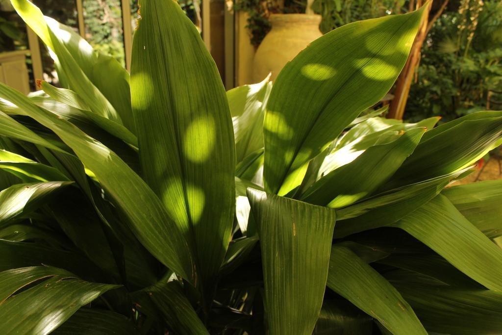 Les Jardins De Baracane Aviñón Exterior foto