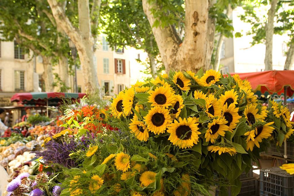 Les Jardins De Baracane Aviñón Exterior foto