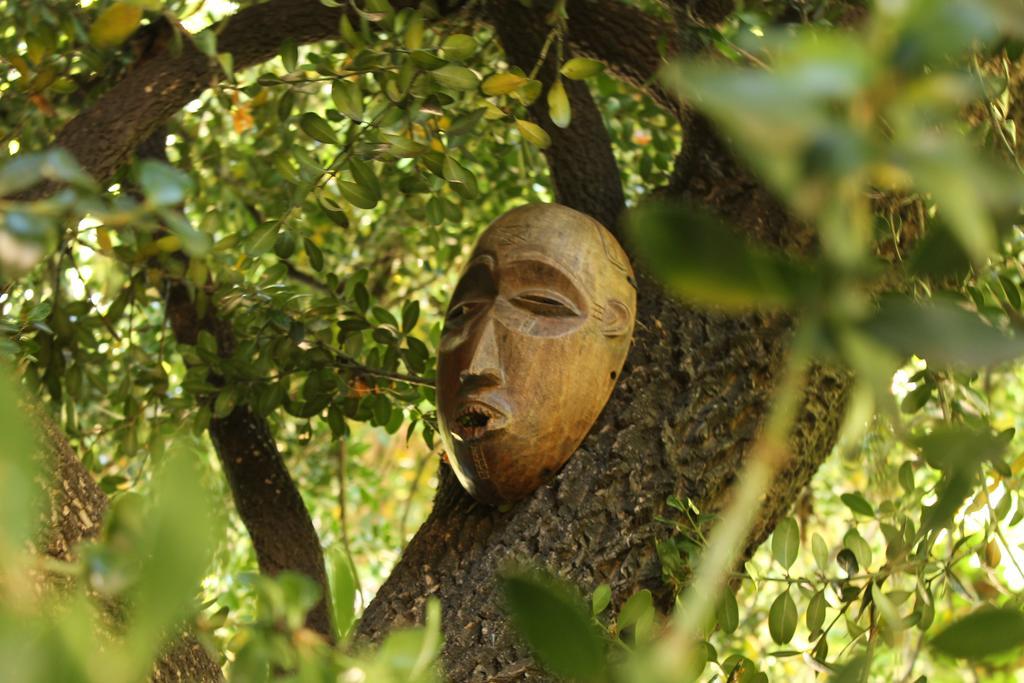 Les Jardins De Baracane Aviñón Exterior foto